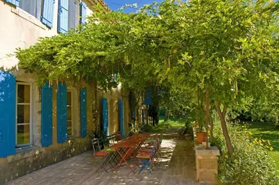 a row of benches under a tree next to a building at Mas Provençal - 300 m2 - 7 chambres in Cavaillon