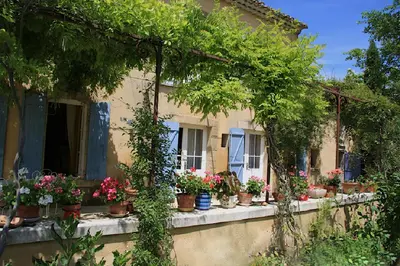 a house with potted plants on a window sill at Mas Provençal - 300 m2 - 7 chambres in Cavaillon