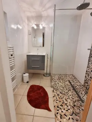 a bathroom with a shower and a sink and a mirror at Gîtes de la Coupière Le Laurier in Aubenas-les-Alpes