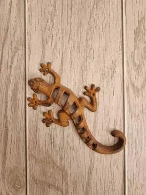 a lizard is hanging on a wooden door at Gîtes de la Coupière Le Laurier in Aubenas-les-Alpes