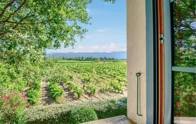 a view of a vineyard from a window at Maison Avec Piscine Privée in Villars