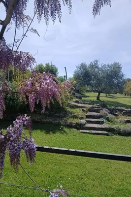 a garden with stone steps and purple flowers at Holiday Home Provenzalisches Ferienhaus mit Charme auf dem Land mit Pool by Interhome in Villars