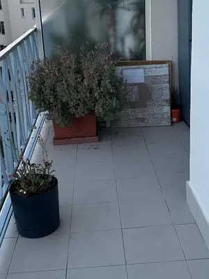 two potted plants are sitting on a balcony at Le Pavillon Etoile in Venelles