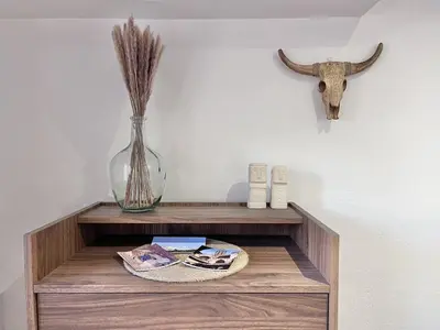 a shelf with a cow skull on a wall at Aix-en-Provence, Studio rénové au coeur de ville Calme absolu in Aix-en-Provence