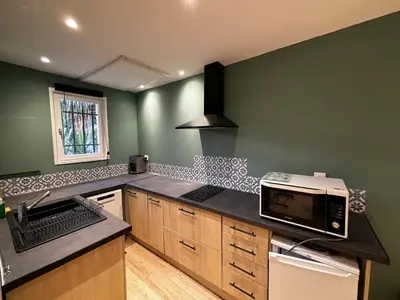 a kitchen with green walls and a microwave on a counter at T2 avec Terrasse à Ventabren proche Aix in Ventabren
