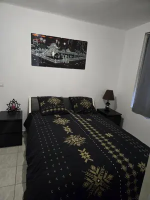 a bedroom with a bed with a black and gold blanket at Le cocon de mag in Miramas
