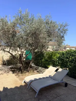 a table and chairs on a patio under a tree at Karen house with courtyard at the foot of the Luberon in Maubec