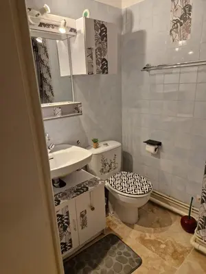 a bathroom with a toilet and a sink at Gîte Moulin de l'Anet in Goult