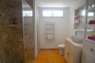 a bathroom with a shower and a toilet and a sink at Le Petit Pont - Au bord de la rivière in LʼIsle-sur-la-Sorgue