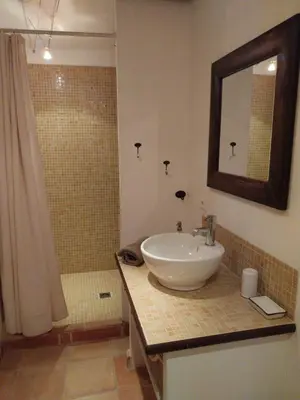 a bathroom with a sink and a shower at le Mas caché in Ménerbes