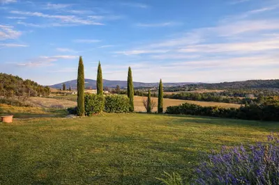 a field with three cypress trees and purple flowers at La Grange Blanche in Sault-de-Vaucluse