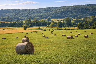 a field full of hay bales in a field at La Grange Blanche in Sault-de-Vaucluse