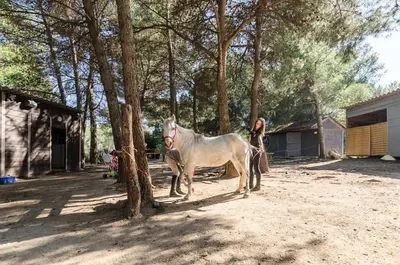 a woman standing next to a white horse next to a tree at Village Pont Royal en Provence - maeva Home - Appartement vue vallée 2 pièces 4 personnes - Sélection MAE-6293 in Mallemort