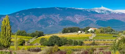 a field with a mountain in the background at C' Cosy in Entraigues-sur-la-Sorgue
