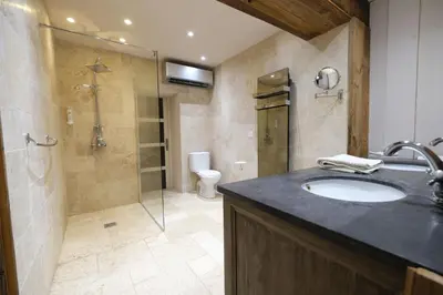 a bathroom with a sink and a shower and a toilet at luxury farm jacuzzi heated pool in Isle sur la sorgue in Lagnes