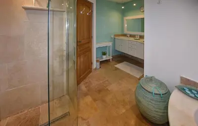 a bathroom with a shower and a vase at Maison Avec Piscine Privée in Entraigues-sur-la-Sorgue