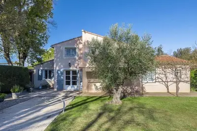 a house with a tree in the front yard at Les terrasses di Matt et eaux in LʼIsle-sur-la-Sorgue