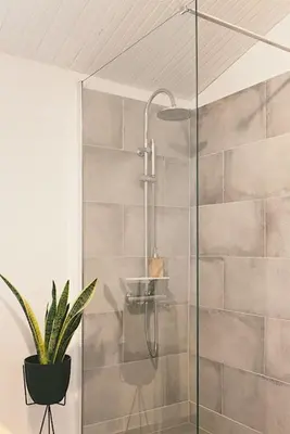 a bathroom with a shower with a plant in it at Provençal Villa At Domaine in Cornillon-Confoux