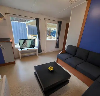 a living room with a couch and a tv at Mobile Home Pro - 4 personnes et parking in Pélissanne