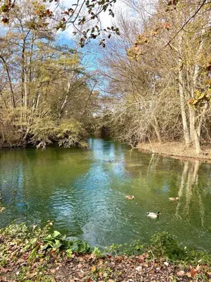 a river with green water and trees in the background at Maison bord de rivière - Le Thor in Le Thor