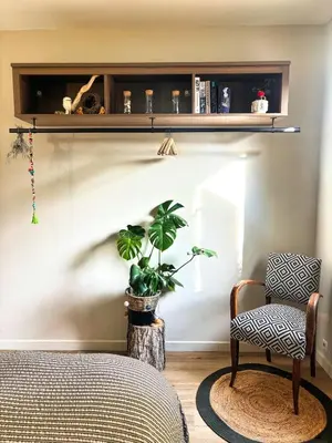 a room with a chair and a plant and a shelf at Maison bord de rivière - Le Thor in Le Thor