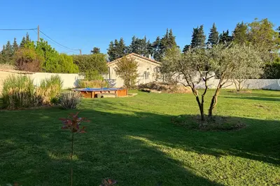 a green yard with a tree in the middle at 