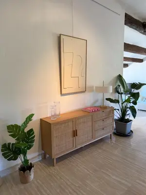 a room with a wooden cabinet and two potted plants at Air-conditioned Provençal country house with pool in Jouques