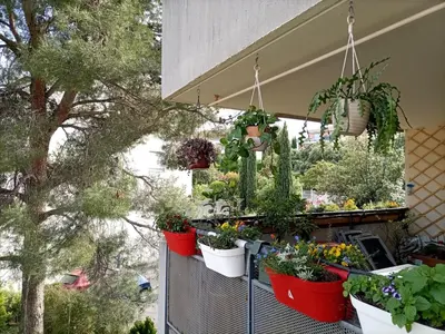 a bunch of potted plants on a balcony at T2 lumineux balcon, parking facile, climatisation, Wi-Fi in Aix-en-Provence