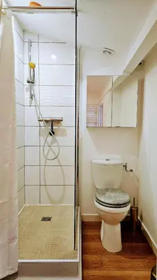 a bathroom with a toilet and a glass shower at Duplex Aix Sunset Coeur centre historique in Aix-en-Provence