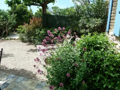 a garden with purple flowers in a yard at Bastidon du Chene in Gordes
