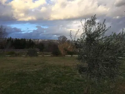 a field with a tree in the middle of it at Auberge Les Olivades in Mallemort