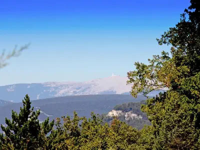 a mountain in the distance with trees in the foreground at Villa in Lubéron with Saltwater Pool in Apt