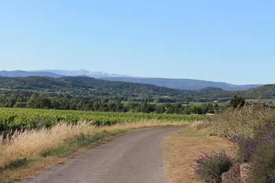 a dirt road in the middle of a field at Le Mas Les Eydins in Bonnieux
