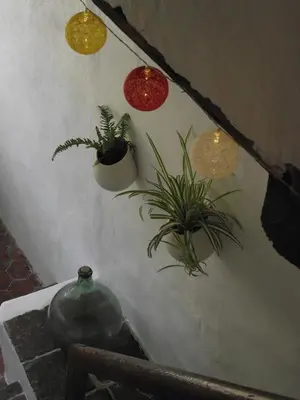 a group of potted plants on a wall at Longo Mai in Apt