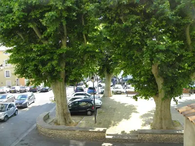 a row of trees in a parking lot with parked cars at Provencal Vintage Cocoon in LʼIsle-sur-la-Sorgue