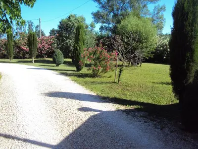 a road in a park with trees and grass at B&B La Douloire in Pernes-les-Fontaines