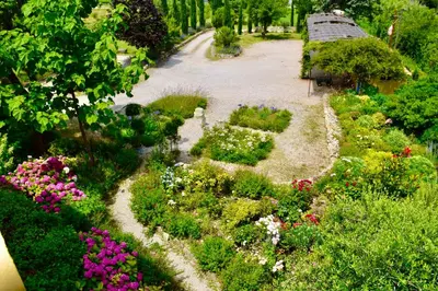 a garden with many different flowers and plants at Bastide Saint-Didier in Saint-Didier
