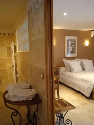 a bedroom with a bed and a bathroom with a shower at Chambres d'Hôtes La Chrysalide in Loriol-du-Comtat