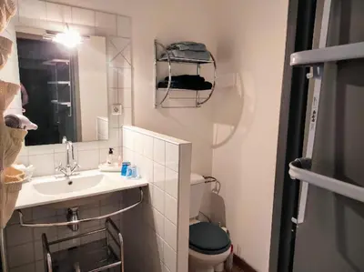 a small bathroom with a sink and a toilet at Gîte en Provence in Entraigues-sur-la-Sorgue