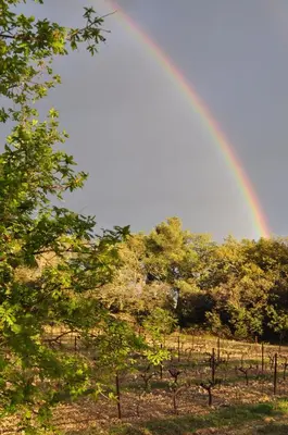 a rainbow in the sky over a field with trees at La roulotte Chic et Boheme in Mazan