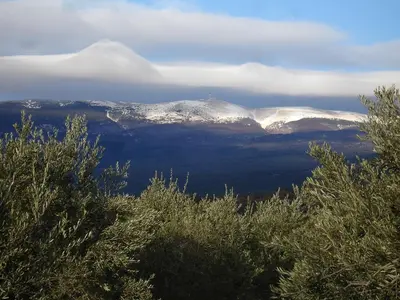 a view of snow covered mountains in the distance at La roulotte Chic et Boheme in Mazan