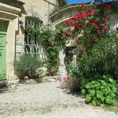 a garden with roses on the side of a building at La Buissonnière in Oppède