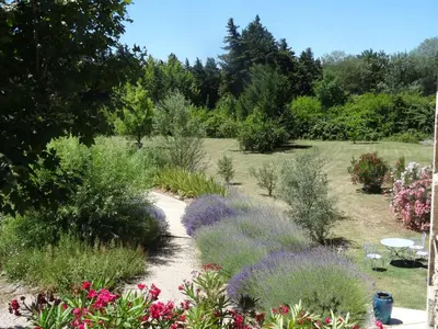 a garden with purple flowers and plants at Le Nid de la Huppe in Noves