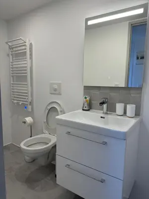 a bathroom with a white sink and a toilet at Villa hortensia in Carpentras