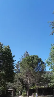a group of people standing under a tree at Lou Vergié Maison Provencale au pied du Luberon in Saint-Martin-de-Castillon
