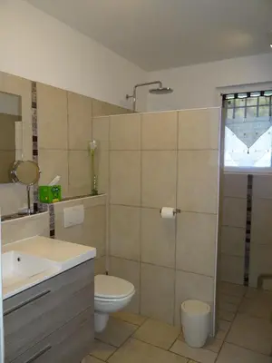 a bathroom with a toilet and a sink and a shower at Campagne Cérès in Le Puy-Sainte-Réparade