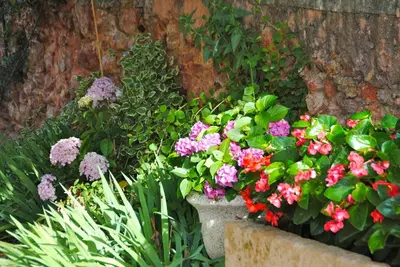 a flower garden with pink and purple flowers in a pot at B&B La Badelle in Gordes