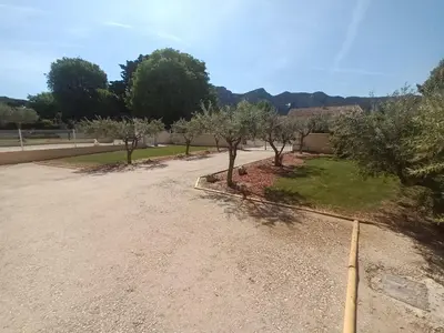 a dirt road with trees on the side of it at Le Jardin des Tourterelles in Robion en Luberon