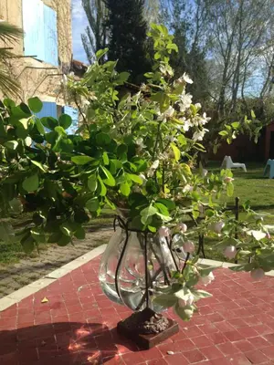 a glass vase filled with flowers on a brick ground at Le Mas des Platanes in Entraigues-sur-la-Sorgue
