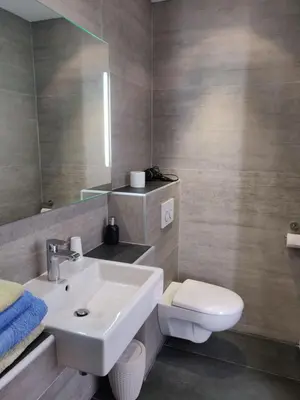 a bathroom with a sink and a toilet and a mirror at La Luberonne in Lourmarin
